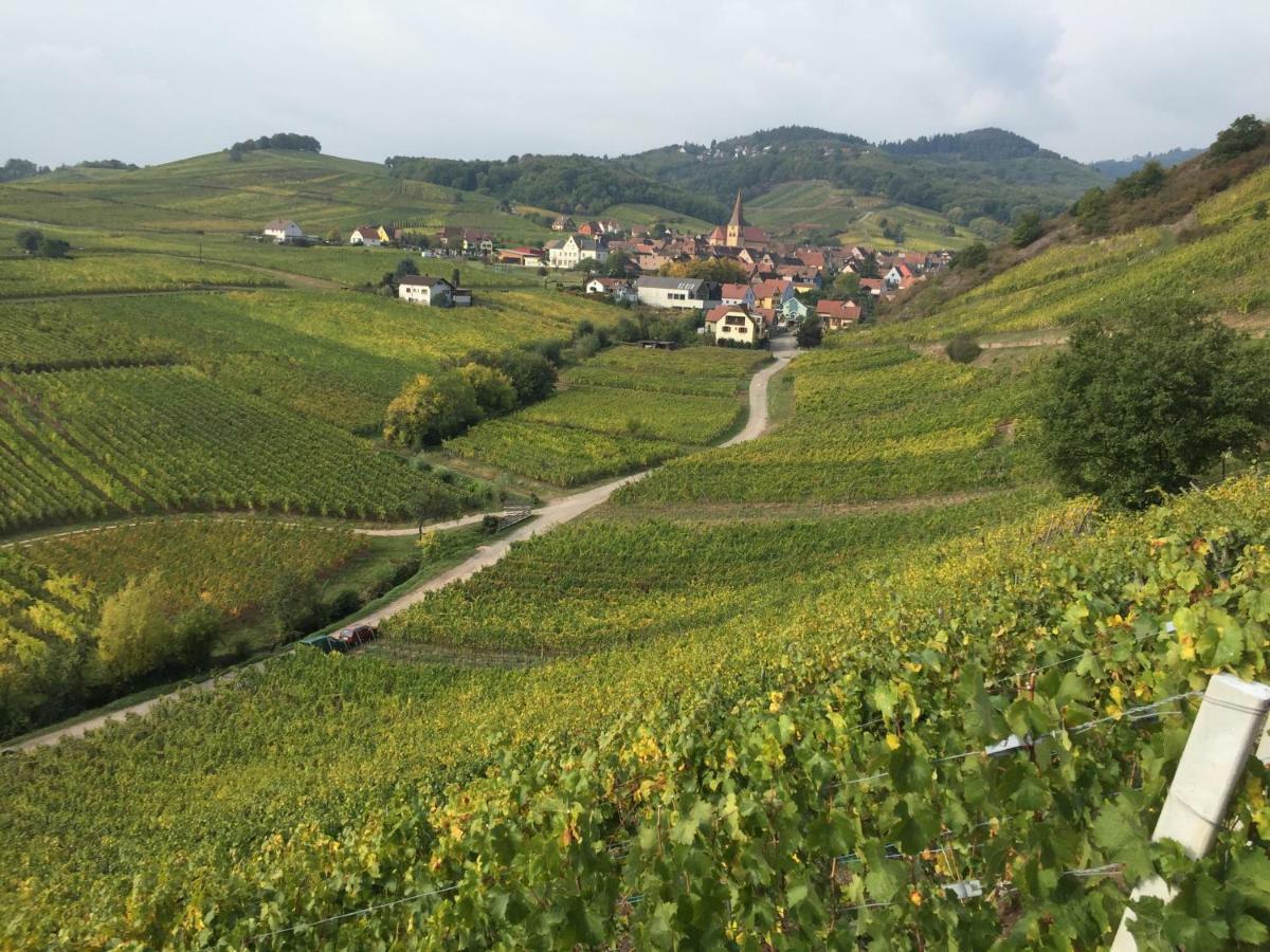 Caveau 1751 Niedermorschwihr Buitenkant foto